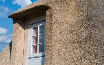 Brunnion thatch roof disadvantages